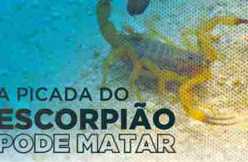  Saúde distribui material que orienta a população sobre acidentes com escorpiões
